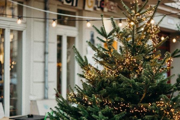 kerstverlichting buiten batterij - kerstkeuzes.nl