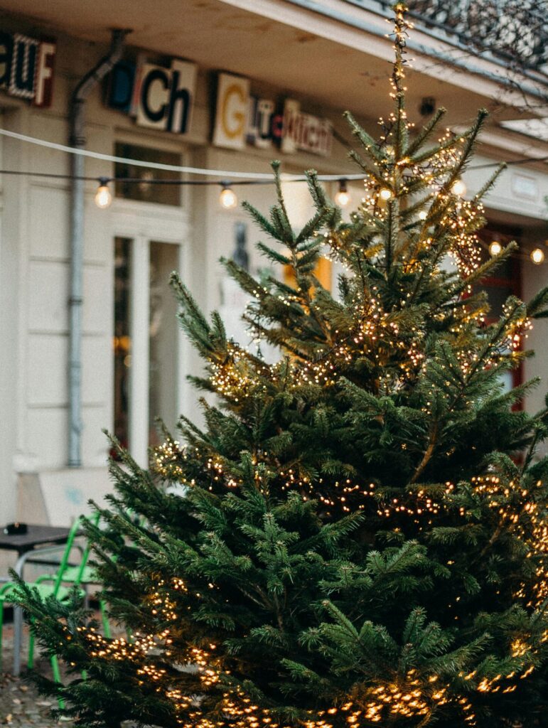 kerstverlichting buiten batterij - kerstkeuzes.nl