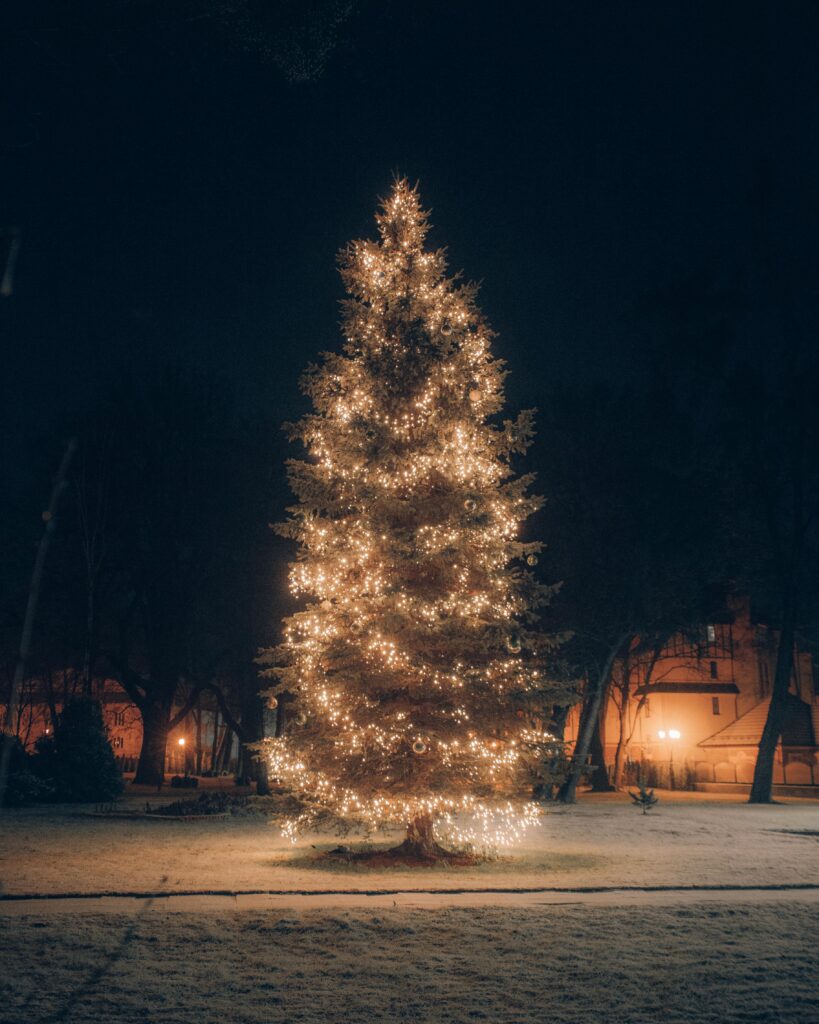 kerstverlichting buiten batterij - kerstkeuzes.nl